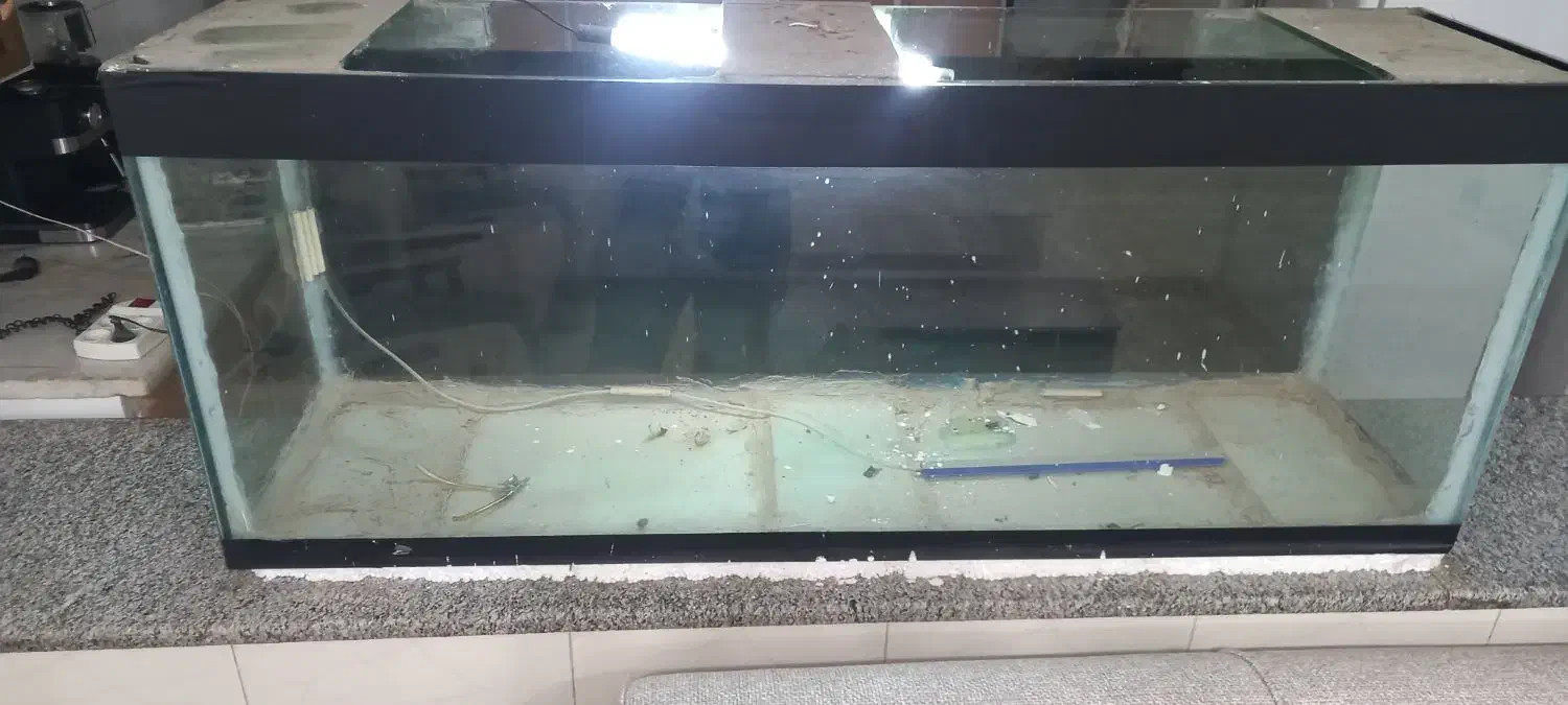 اکواریوم شیشه ده میل|لوازم جانبی حیوانات|مبارکه, |دیوار