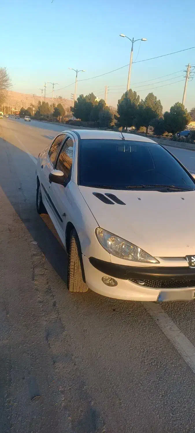 206sd  tu5  مدل 91|خودرو سواری و وانت|شیراز, نصر|دیوار