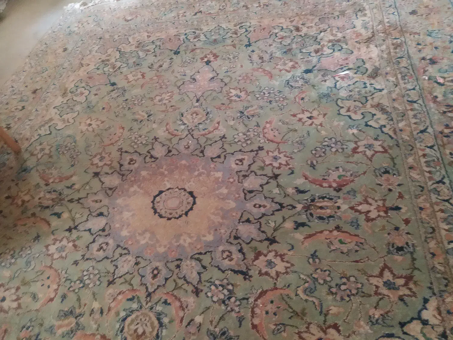 فرش دست بافت|فرش|آمل, |دیوار