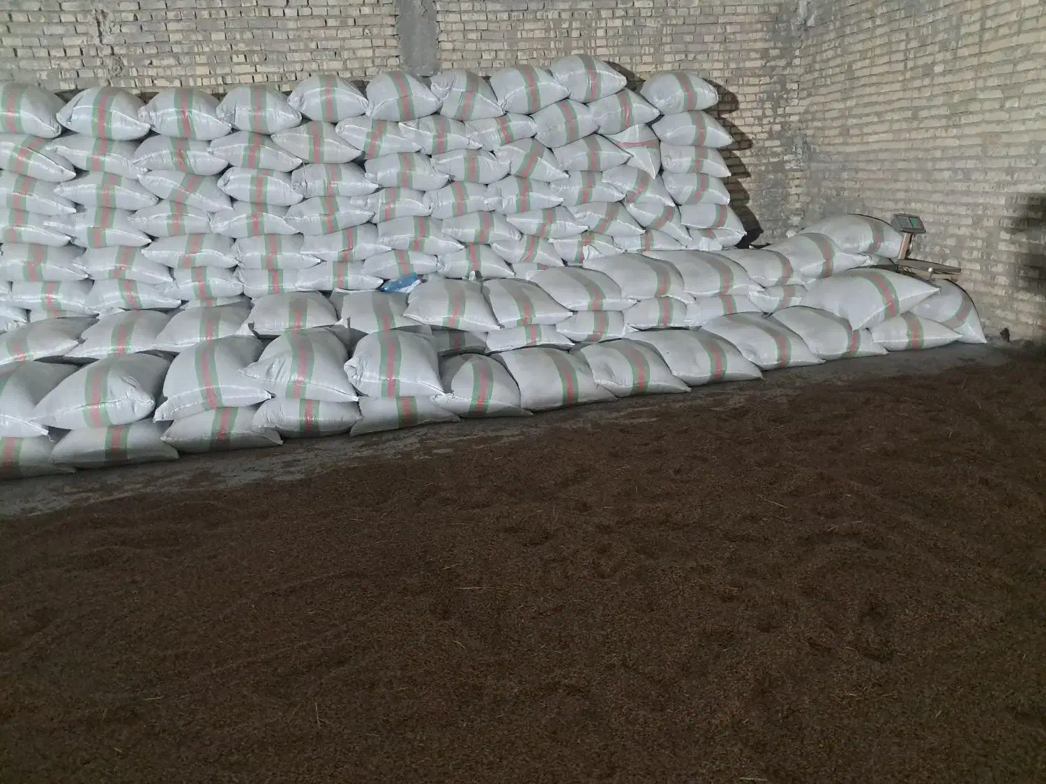 فروش شلتوک درجه یک|خوردنی و آشامیدنی|اهواز, دغاغله|دیوار