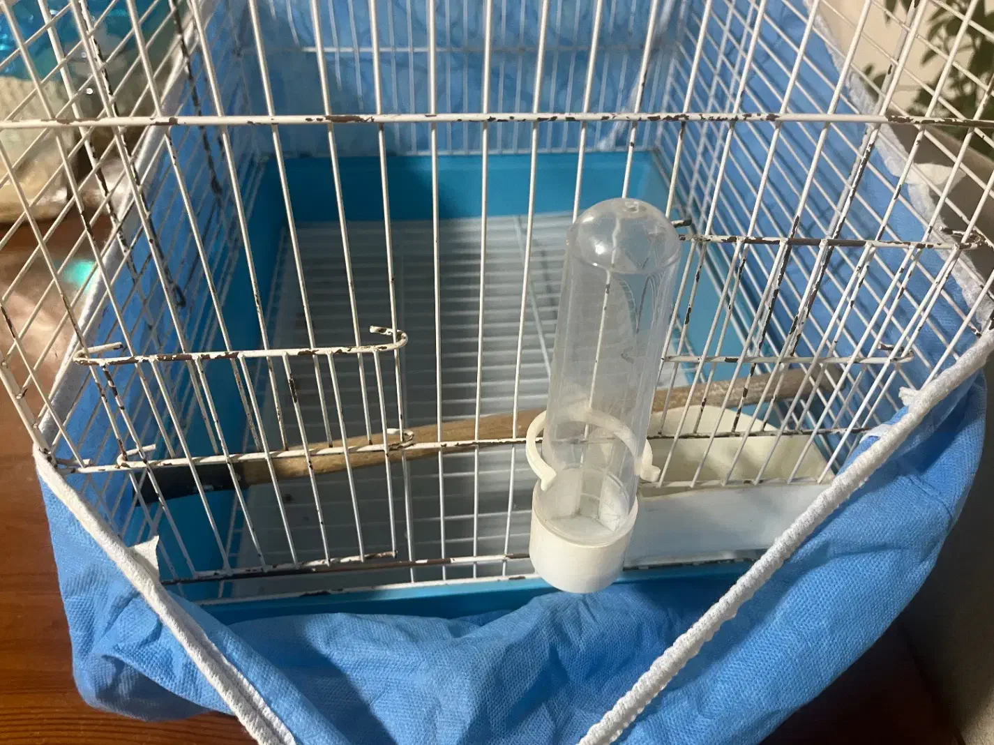 قفس پرنده|لوازم جانبی حیوانات|رشت, باهنر|دیوار