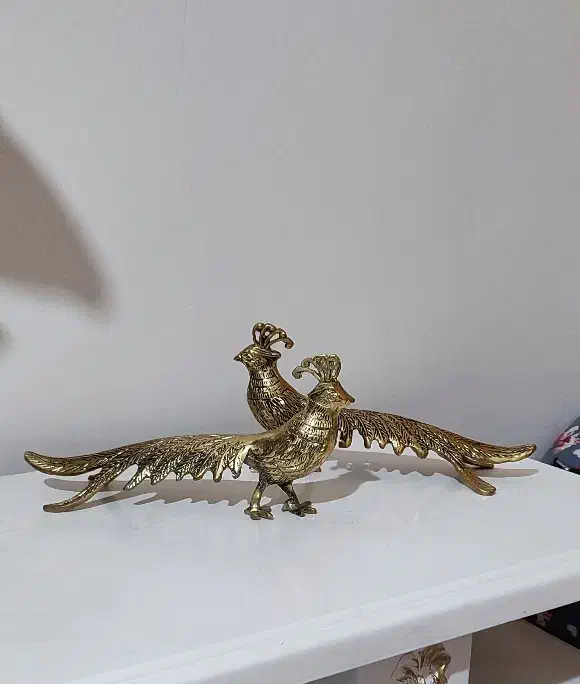 طاووس برنزی|مجسمه، تندیس، ماکت|قم, عمار یاسر|دیوار