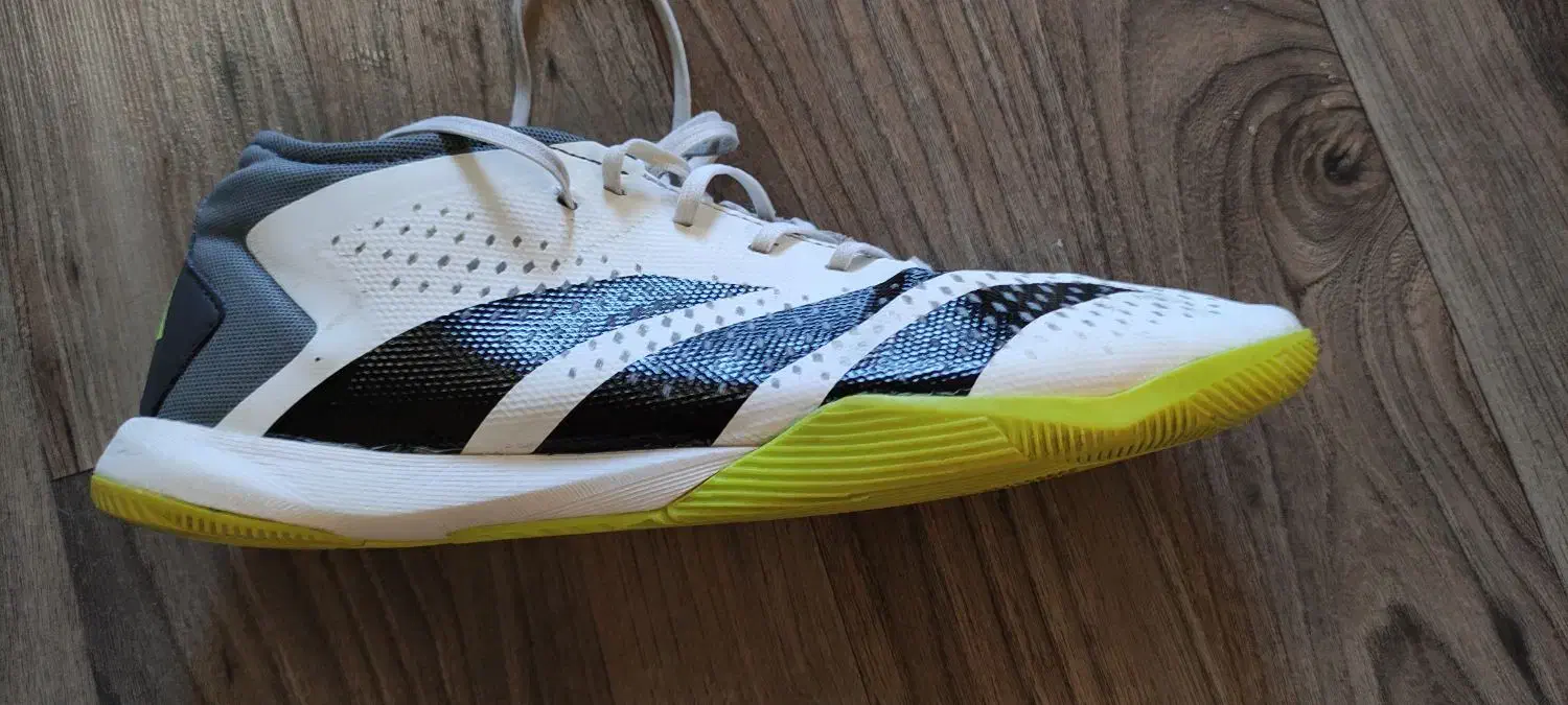 کفش سالنی آدیداس پریدیتور اصل|کیف، کفش، کمربند|هشترود, |دیوار