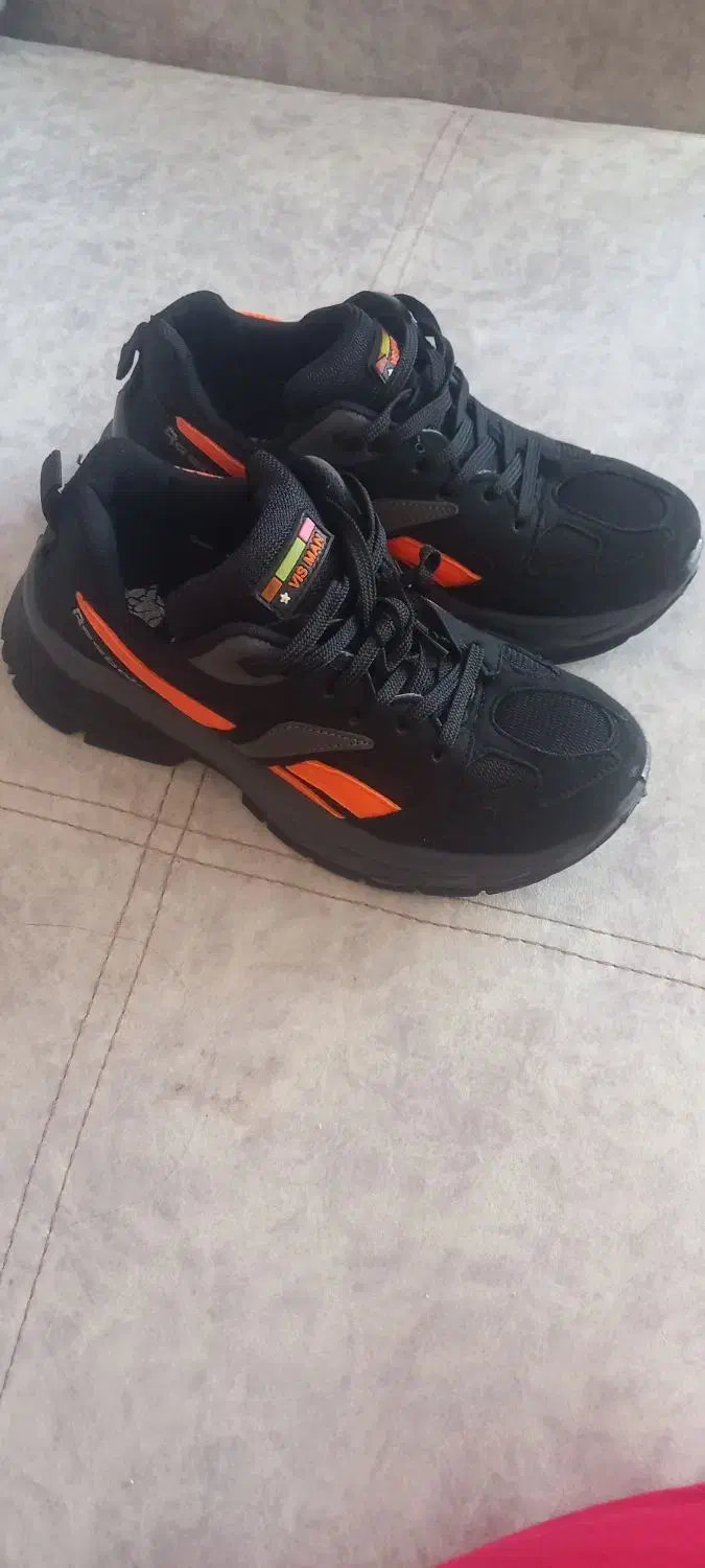 کفش|کیف، کفش، کمربند|زنجان, |دیوار