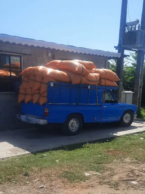 حمل بار بانیسان/اثباب کشی/کیوی /داخلی وشهرستان|خدمات حمل و نقل|تالش, تالش|دیوار