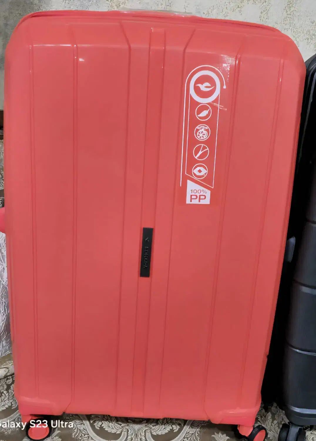 چمدان|کیف، کفش، کمربند|دوگنبدان, |دیوار