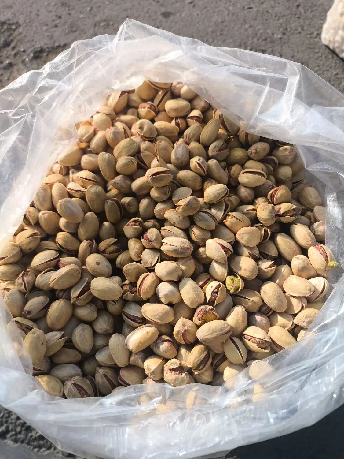 پسته .تخم کدو . بادام پوست کاغذی|خوردنی و آشامیدنی|شیراز, فرهنگ شهر|دیوار