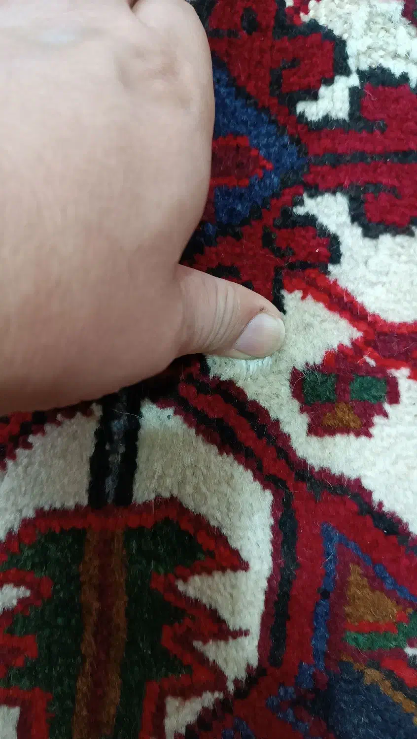 فرش دستباف در حد نو ۶متری|فرش|لوندویل, |دیوار