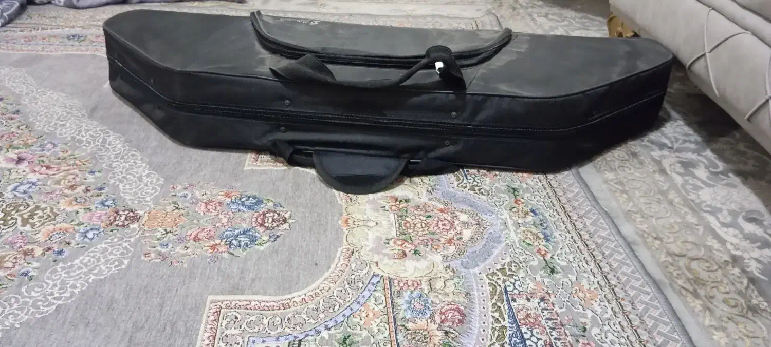 سنتور مارک طنین|سازهای سنتی|فسا, |دیوار