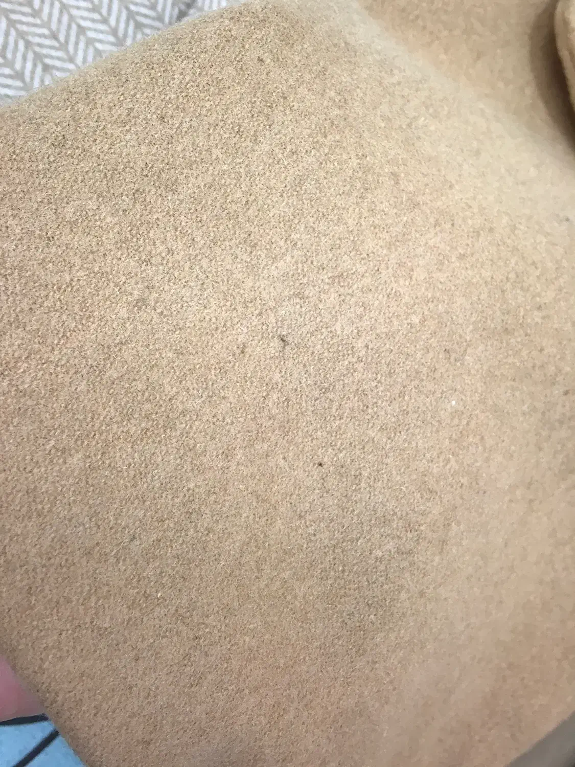 کت فوتر رنگ موکا|لباس|قائمشهر, |دیوار