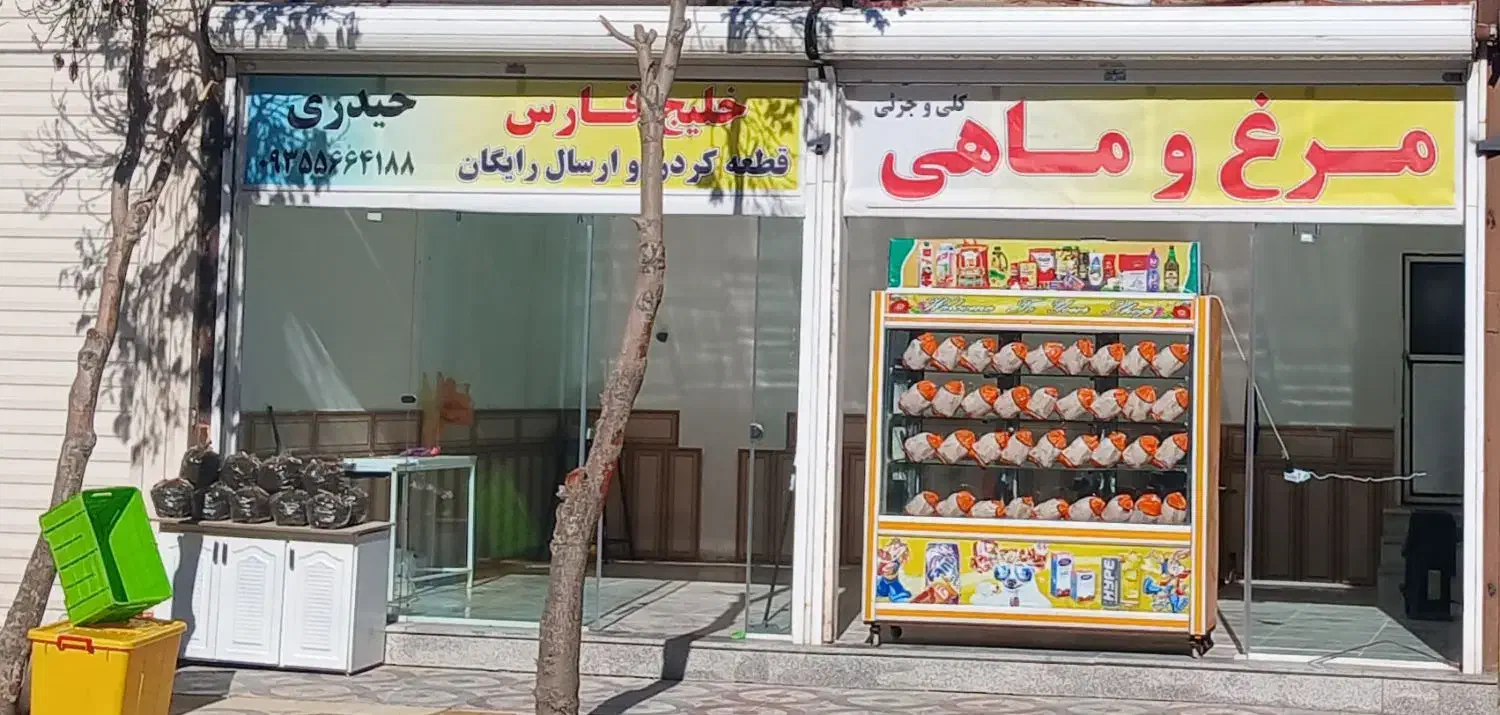 پاکترین مرغ ماهی فروشی شهر|ماهی|نورآباد, |دیوار