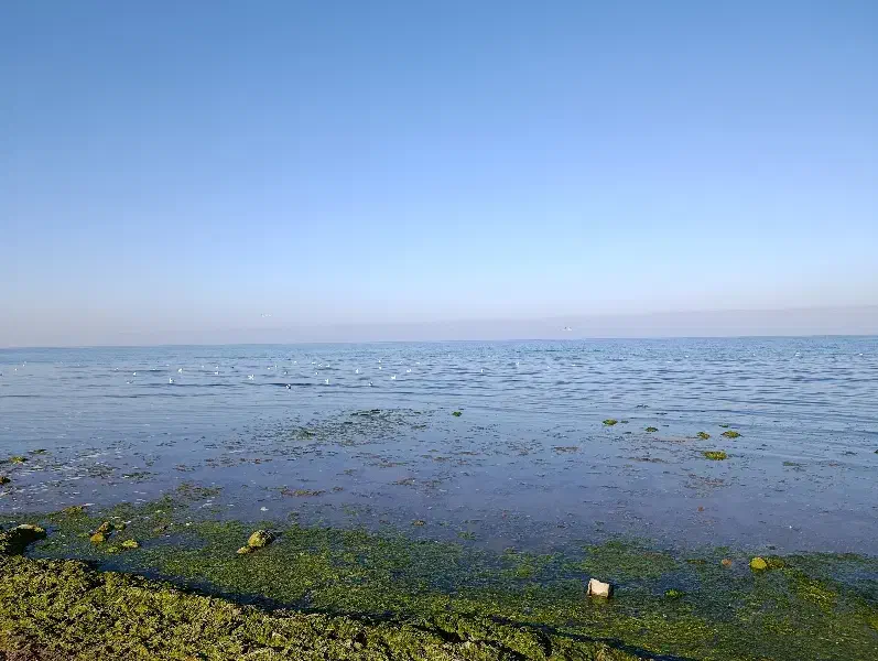 راهنمایی میکنم.مشاوره و کمک|فعالیت داوطلبانه|نوشهر, |دیوار