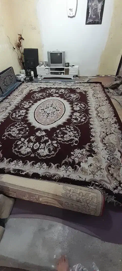 قالی ویلچر پشتی|فرش|خرمشهر, |دیوار