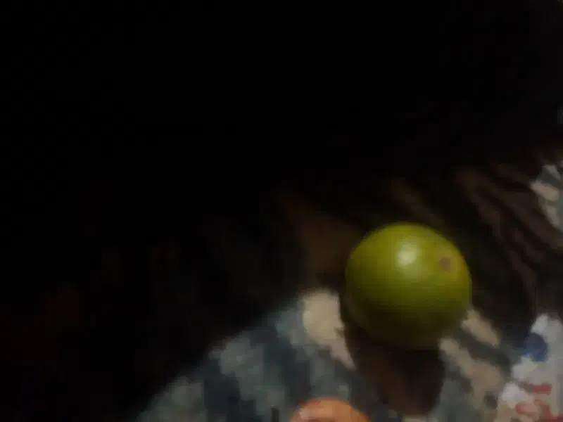 خاک حیوانی گاو وگوسفندی|حیوانات مزرعه|فهرج, |دیوار