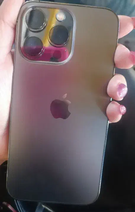 آیفون سیزده پرو|موبایل|شیراز, قالیشویی|دیوار