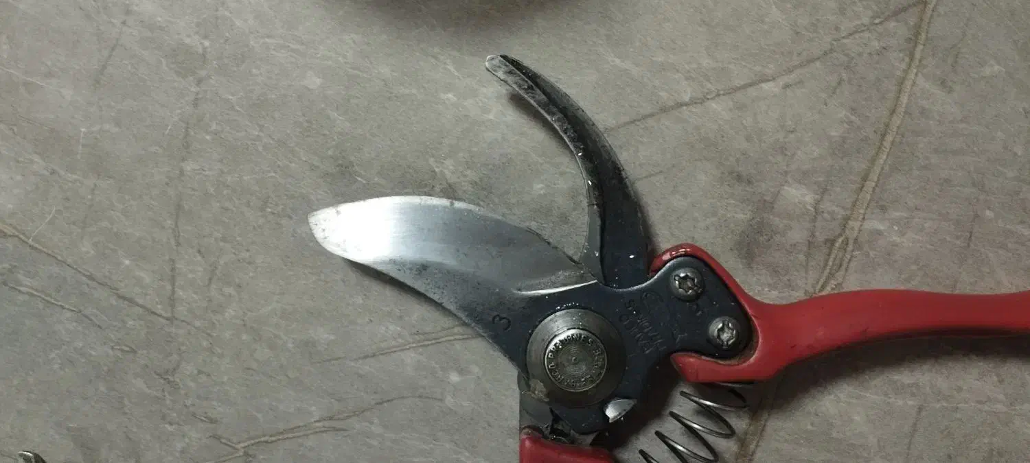 فرا.نسه|اسباب‌‌بازی|مراغه, |دیوار