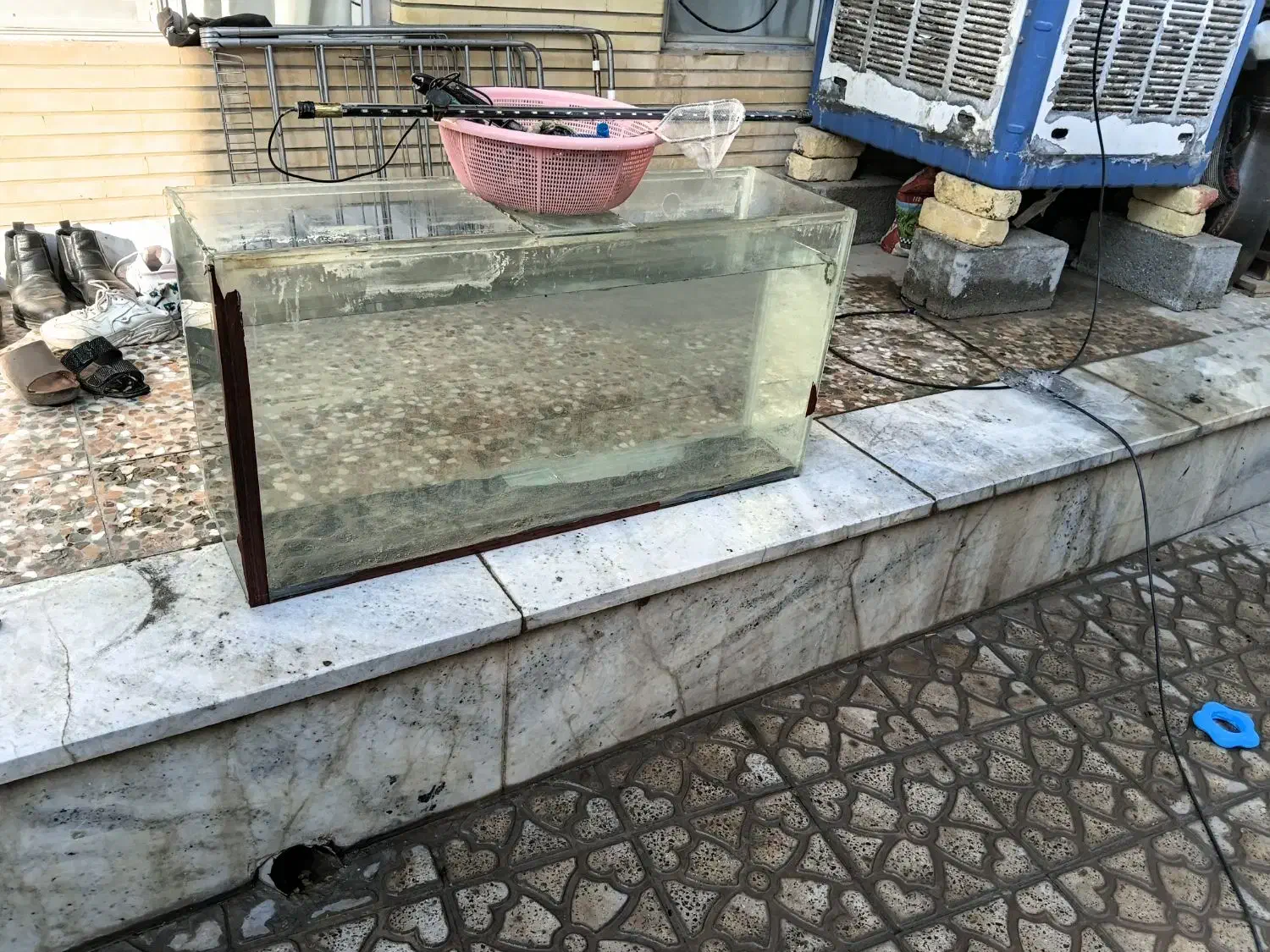 آکواریم|ماهی|مبارکه, |دیوار