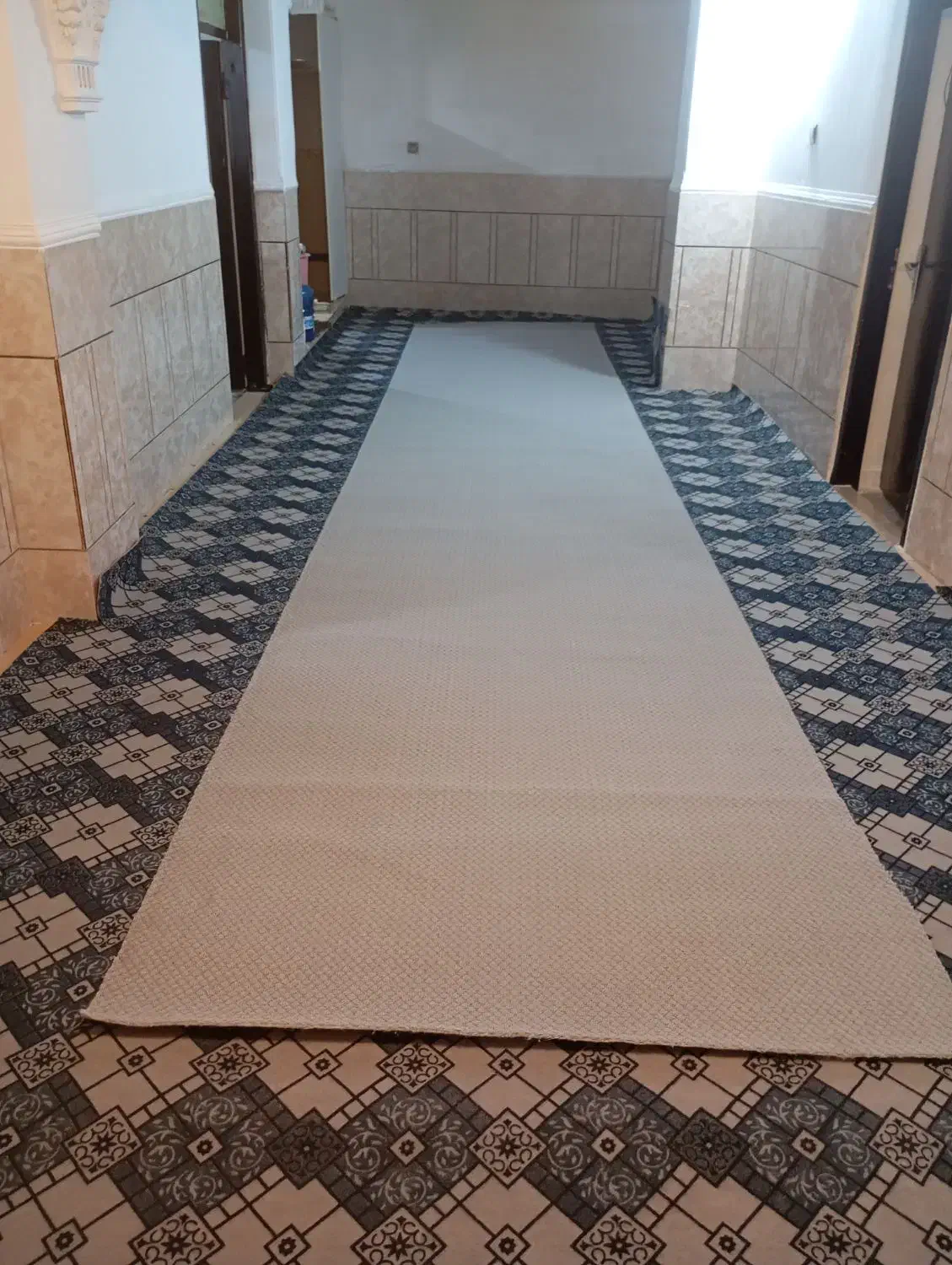 پالاز موکت|موکت|بندرعباس, |دیوار