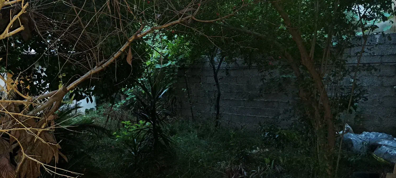 خانه ویلایی|فروش خانه و ویلا|رشت, لاکان شهر|دیوار