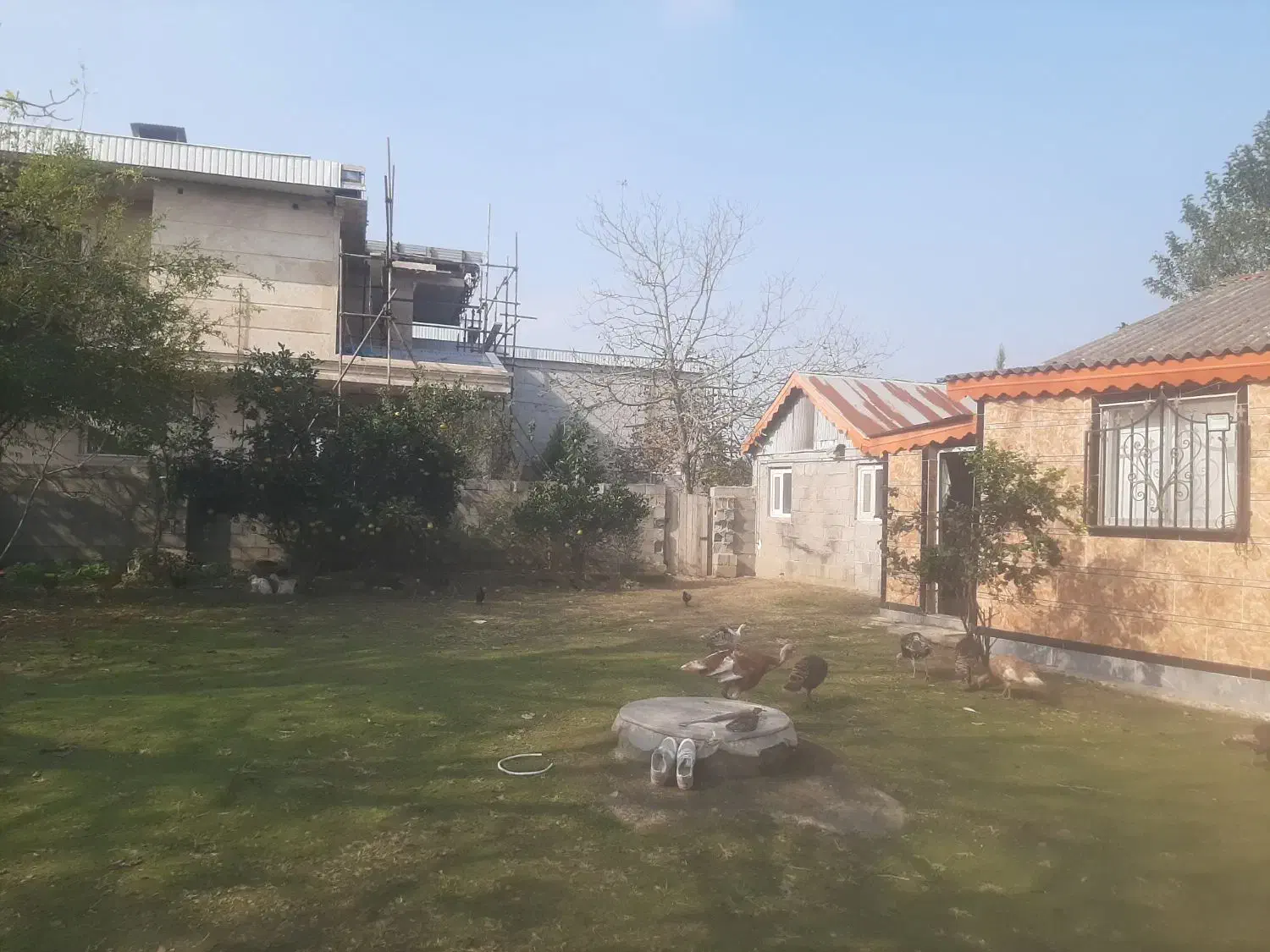 ویلا باغ روستایی|فروش خانه و ویلا|رضوانشهر, |دیوار