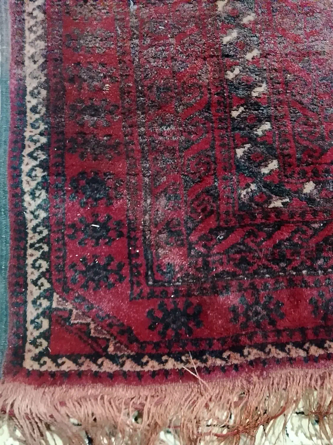 قالیچه زمینی|فرش|نیشابور, امام خمینی|دیوار