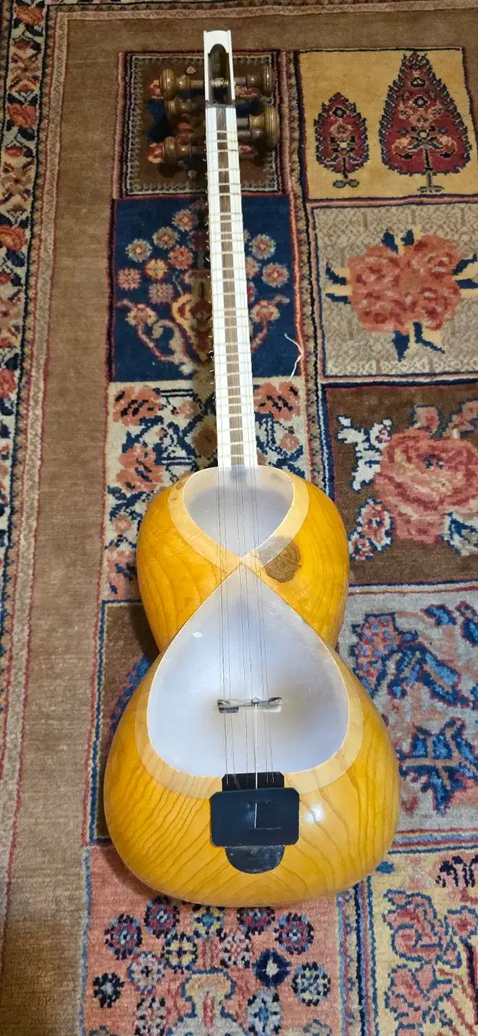 تار چهار گل|سازهای سنتی|تهران, فلسطین (میدان انقلاب)|دیوار