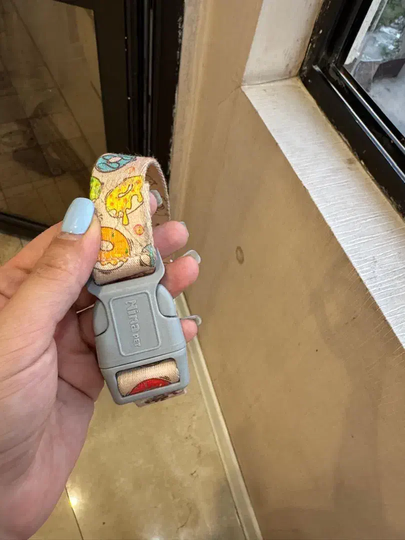 قلاده گردنی سگ|لوازم جانبی حیوانات|کرمان, |دیوار