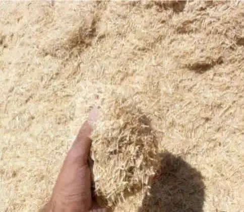 کاه گندم و کاه چلتوک|لوازم جانبی حیوانات|کر, |دیوار