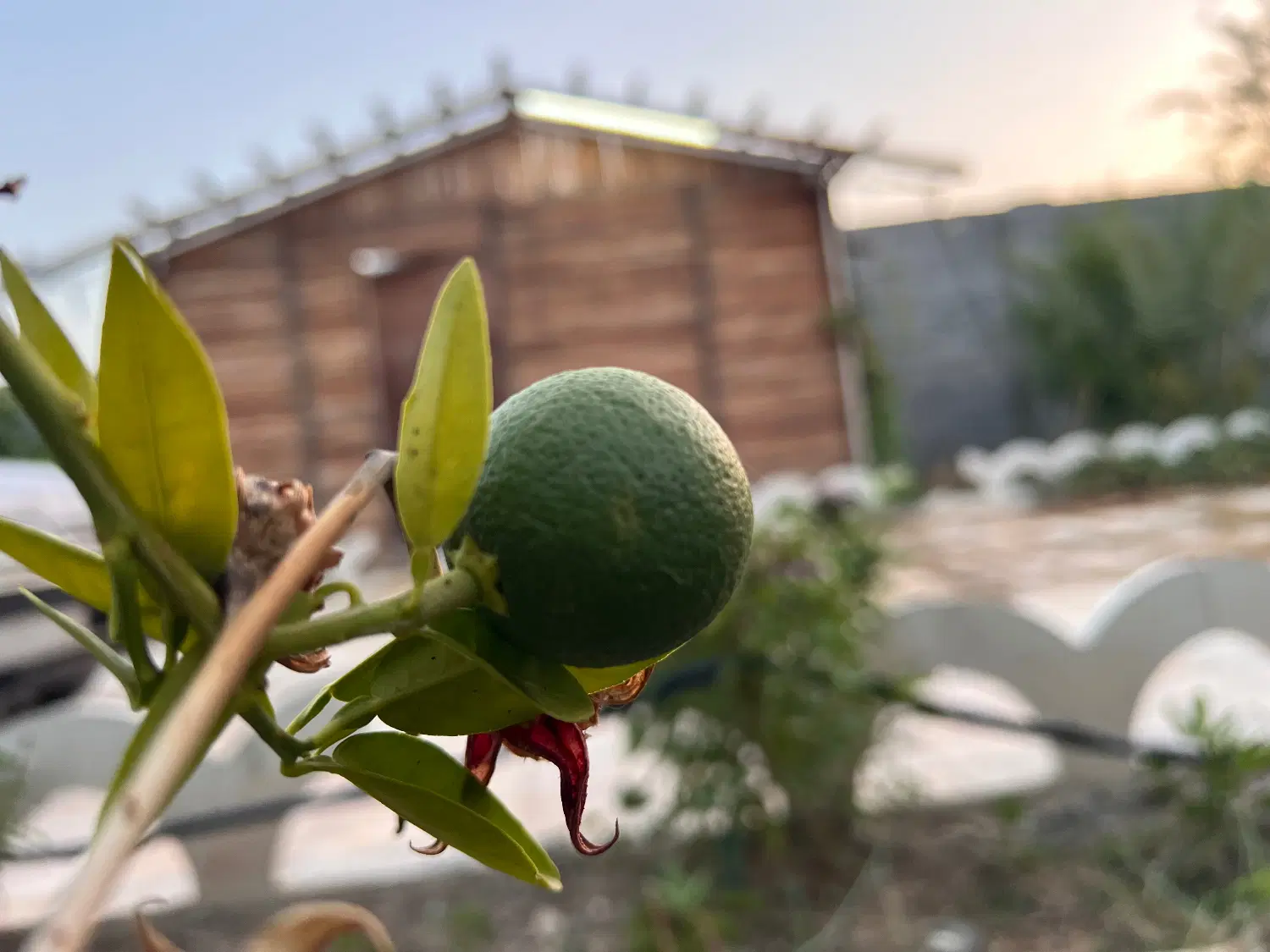تصویر 14