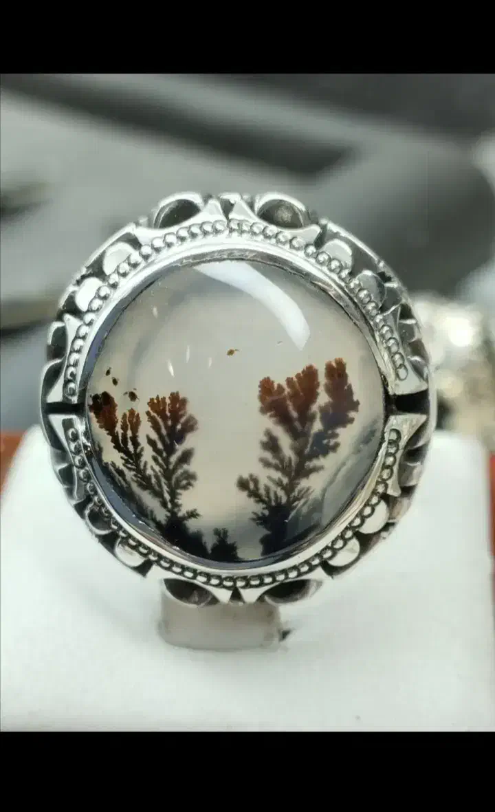 هفت انگشتر شجر|جواهرات|کرج, گلشهر|دیوار