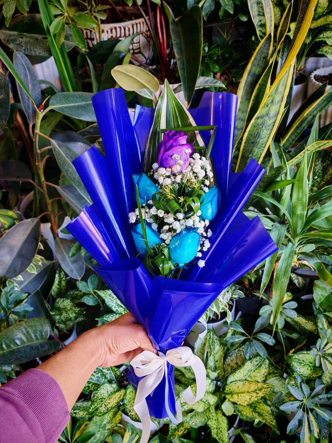 گل برای روز دختر|گل و گیاه طبیعی|اصفهان, شمس آباد|دیوار