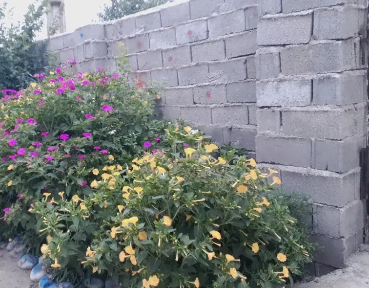 اجاره خانه با تمام امکانات|اجارهٔ خانه و ویلا|تاتار علیا, |دیوار