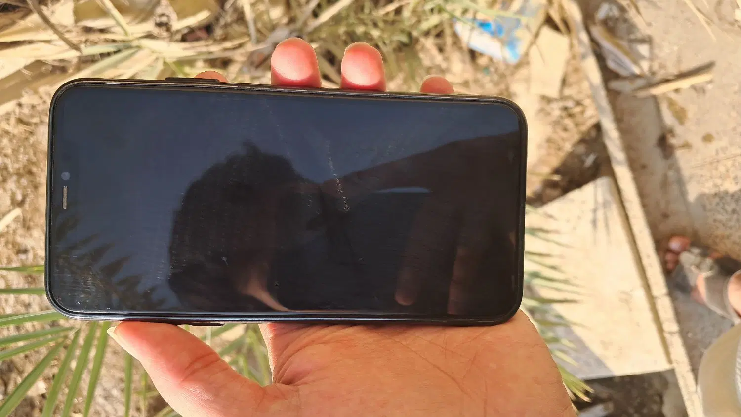 iphone 11 promax gold|موبایل|اهواز, گلدشت|دیوار