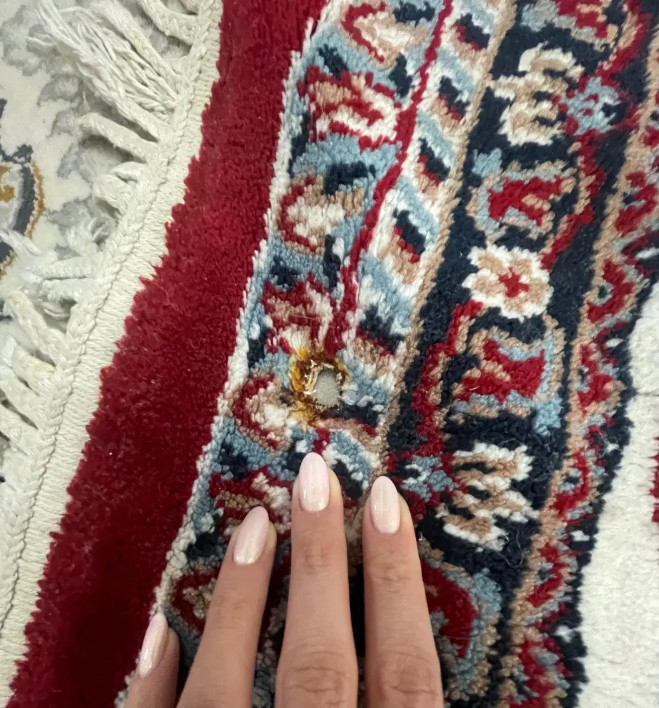 فرش دوازده متری|فرش|بهشهر, |دیوار