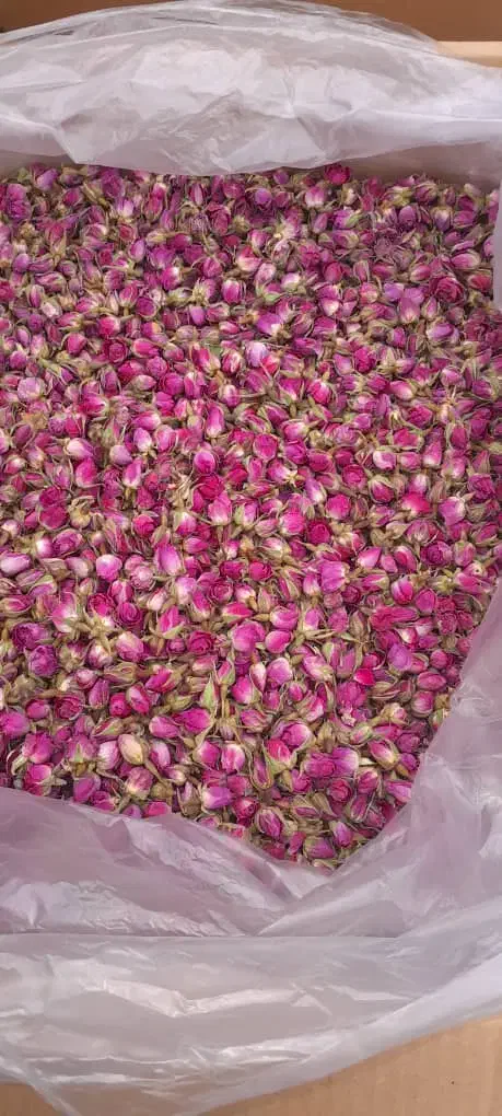 فروش غنچه گل محمدی لاله زار|خوردنی و آشامیدنی|لاله زار, |دیوار