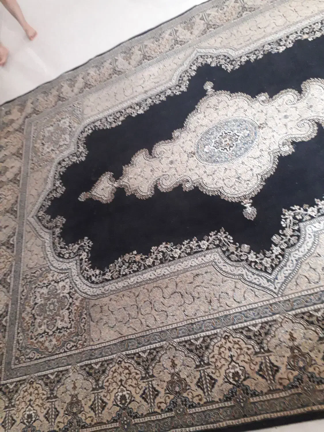 فرش دوازده متری|فرش|تربت جام, مطهری|دیوار