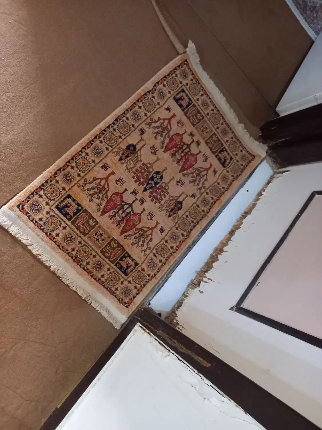 یک قالیچه ۴متری به همراه پادری|فرش|اهواز, سپیدار|دیوار