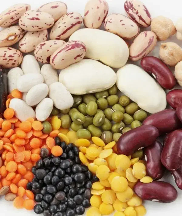 سبزی آماده پیاز سرخ شده|خدمات پذیرایی، مراسم|اردبیل, |دیوار