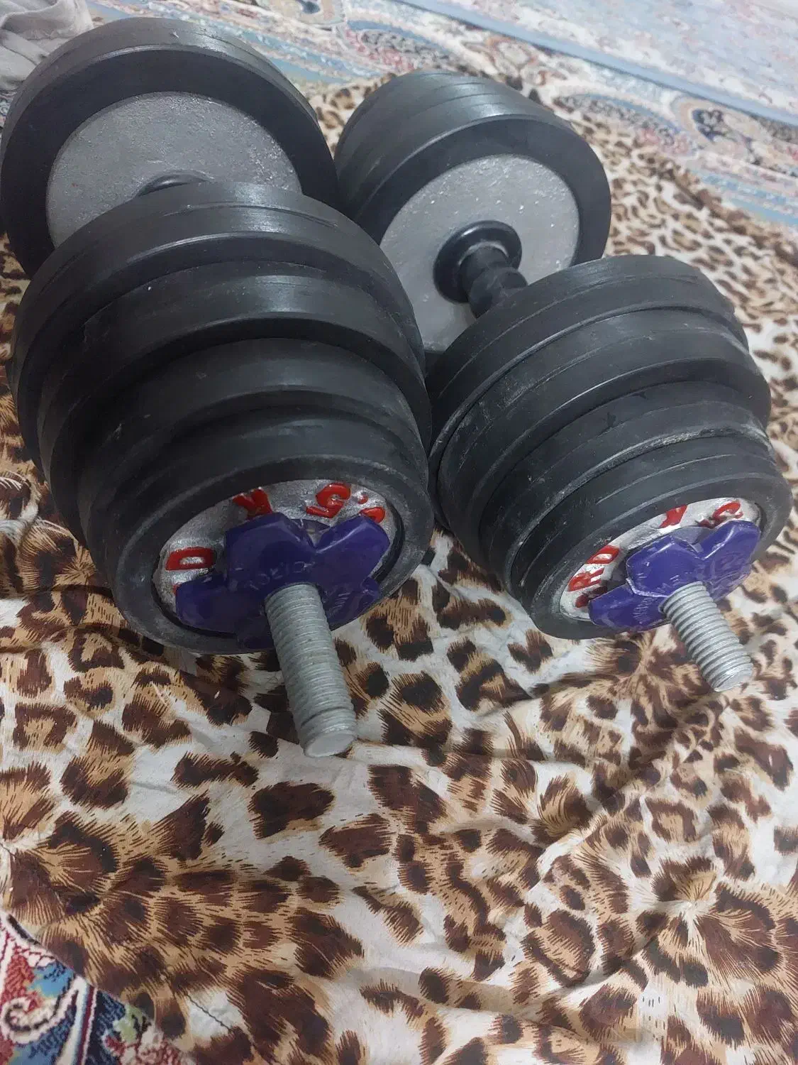 یک جفت دمبل رکورد|تجهیزات ورزشی|ری, فیروزآباد|دیوار