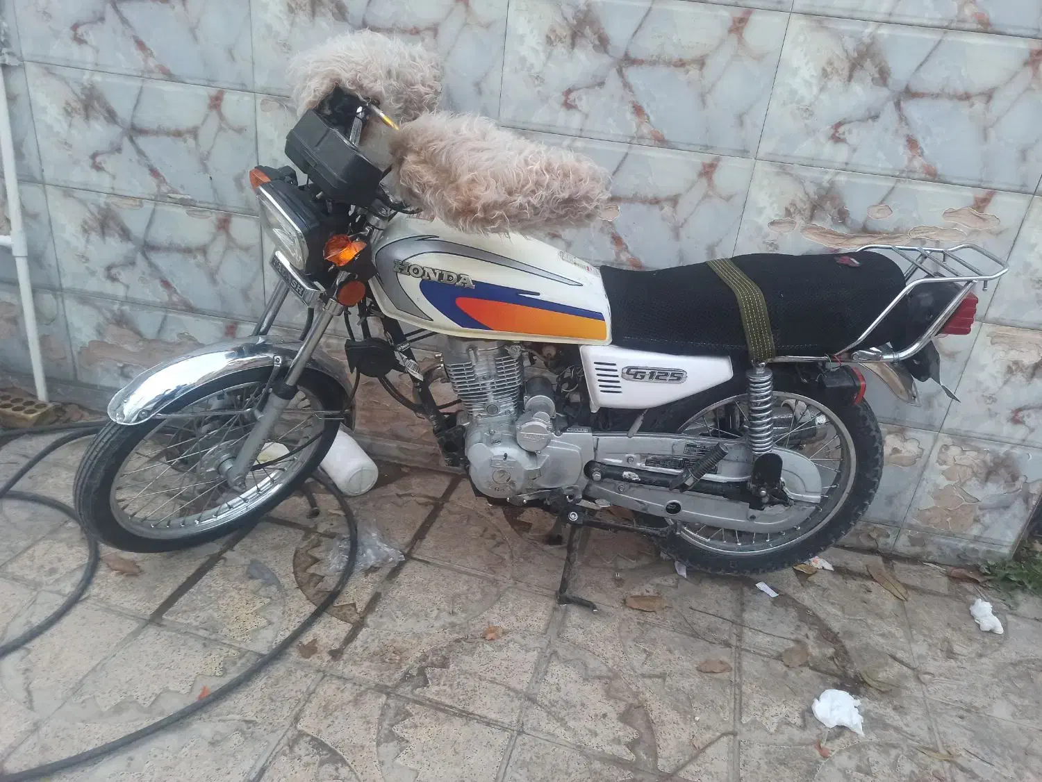 اجاره ماهانه موتور سیکلت هوندا|موتورسیکلت|تهران, مطهری|دیوار