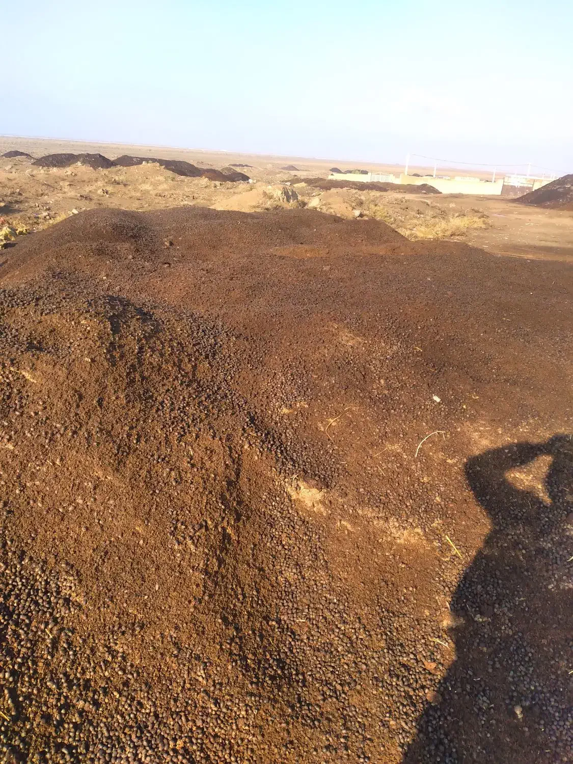 کودحیوانی خشک گوسفندی خالص عالی در محل بدونه کرایه|خدمات باغبانی و درختکاری|کرج, کمالشهر|دیوار