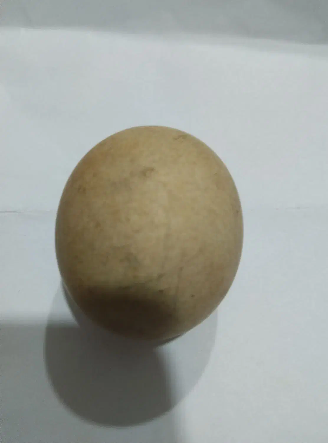 سنگ الماس|کلکسیون اشیاء عتیقه|مراغه, |دیوار