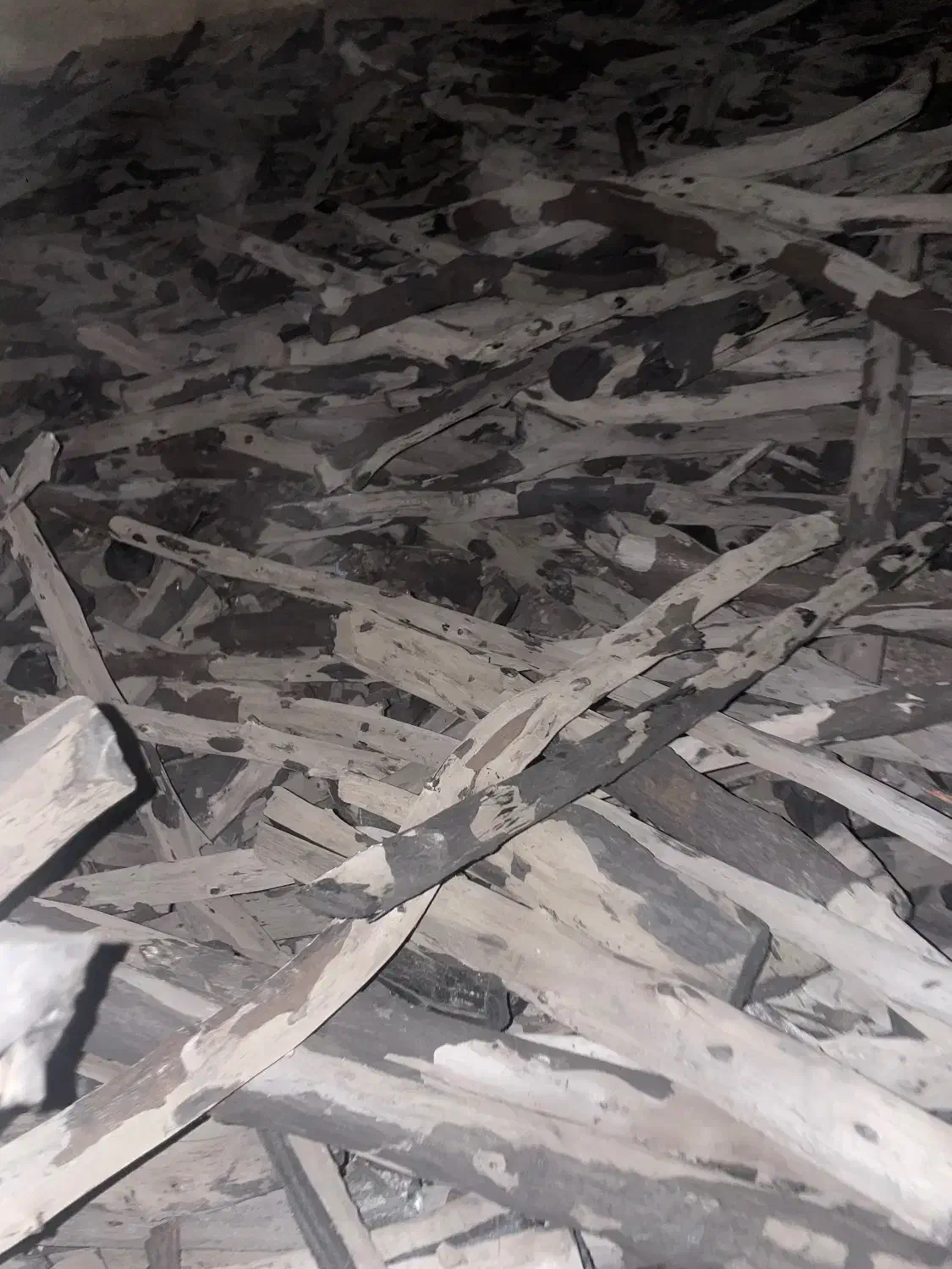 ذغال مورت قلمی درجه ۱|عمده‌فروشی|باوی, |دیوار