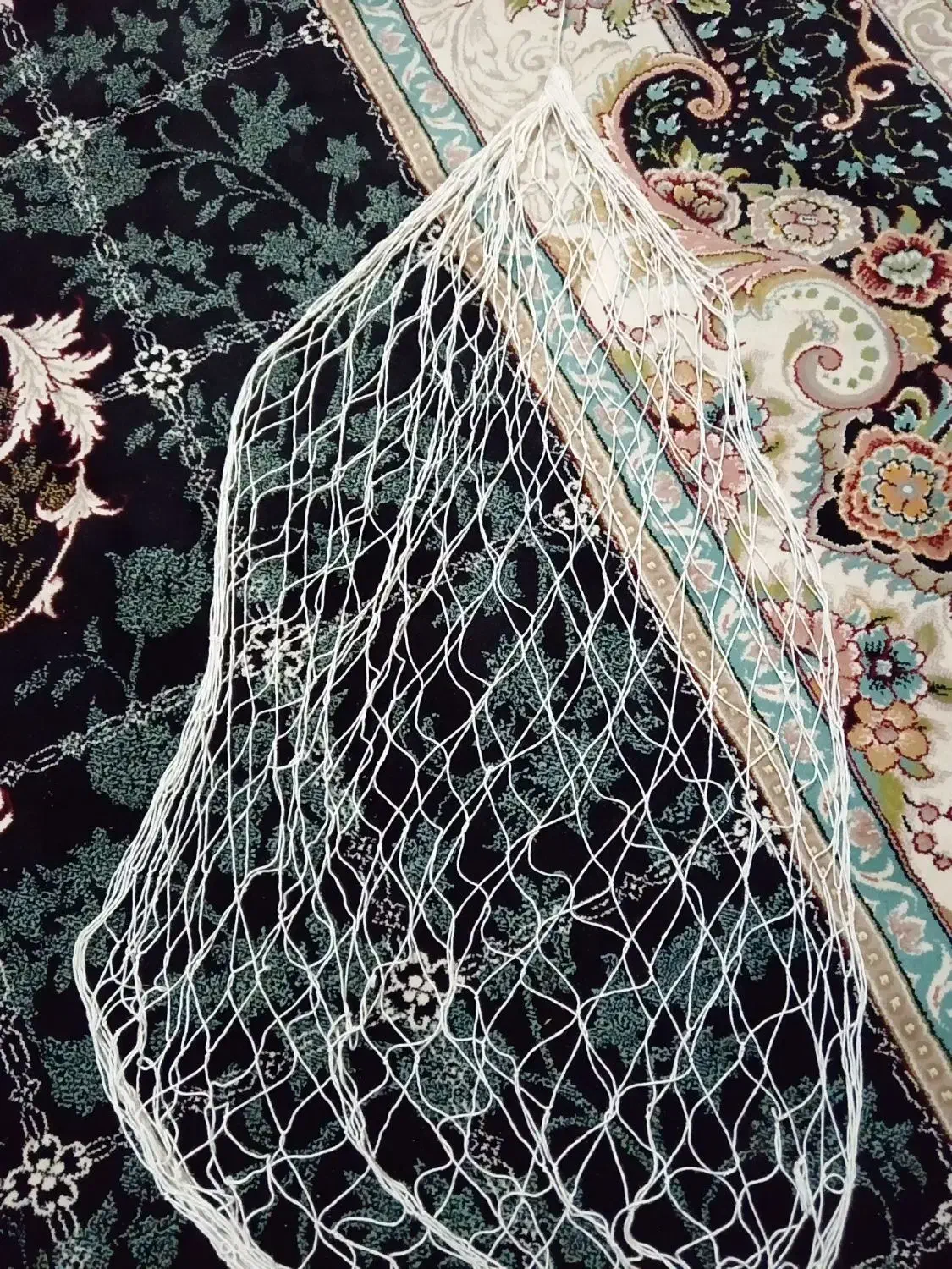 تورکبوتر|ماهیگیری|مشهد, شهرک مطهری|دیوار