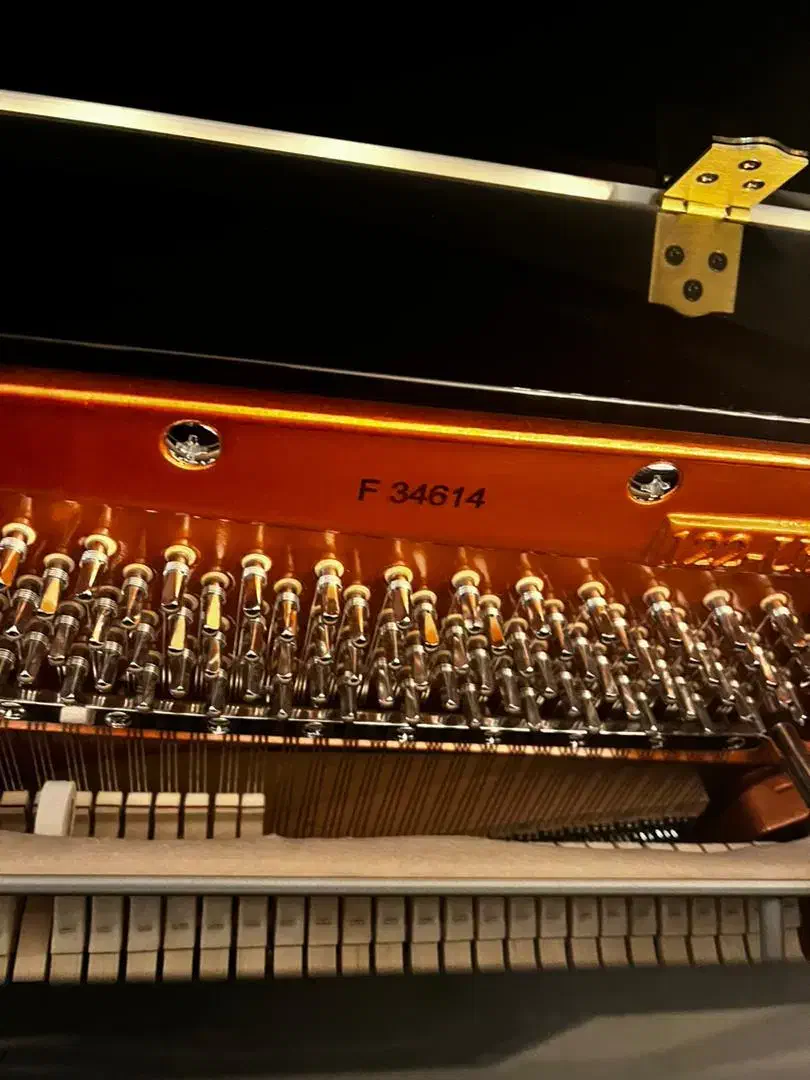 پیانو|پیانو، کیبورد، آکاردئون|تهران, امانیه|دیوار