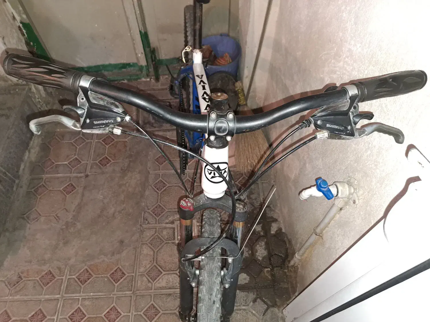 دوچرخه ویوا|دوچرخه، اسکیت، اسکوتر|تبریز, |دیوار