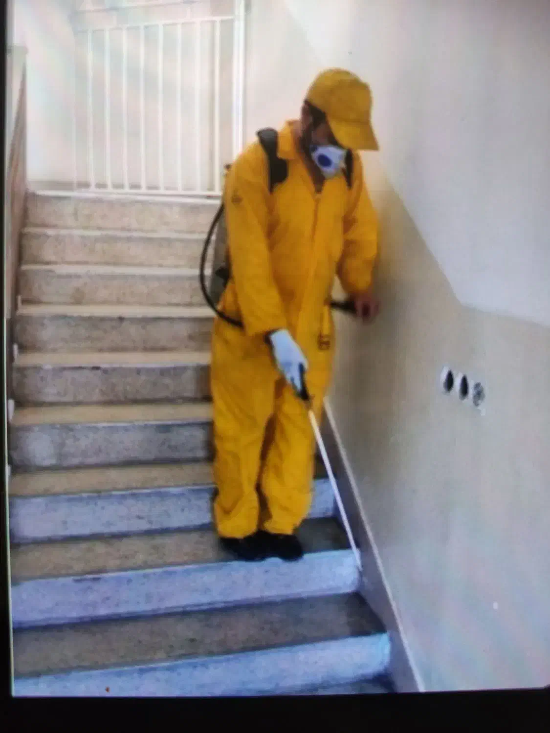 سم پاشی ساس سوسک مورچه مگس موش|خدمات نظافت|تهران, دردشت|دیوار