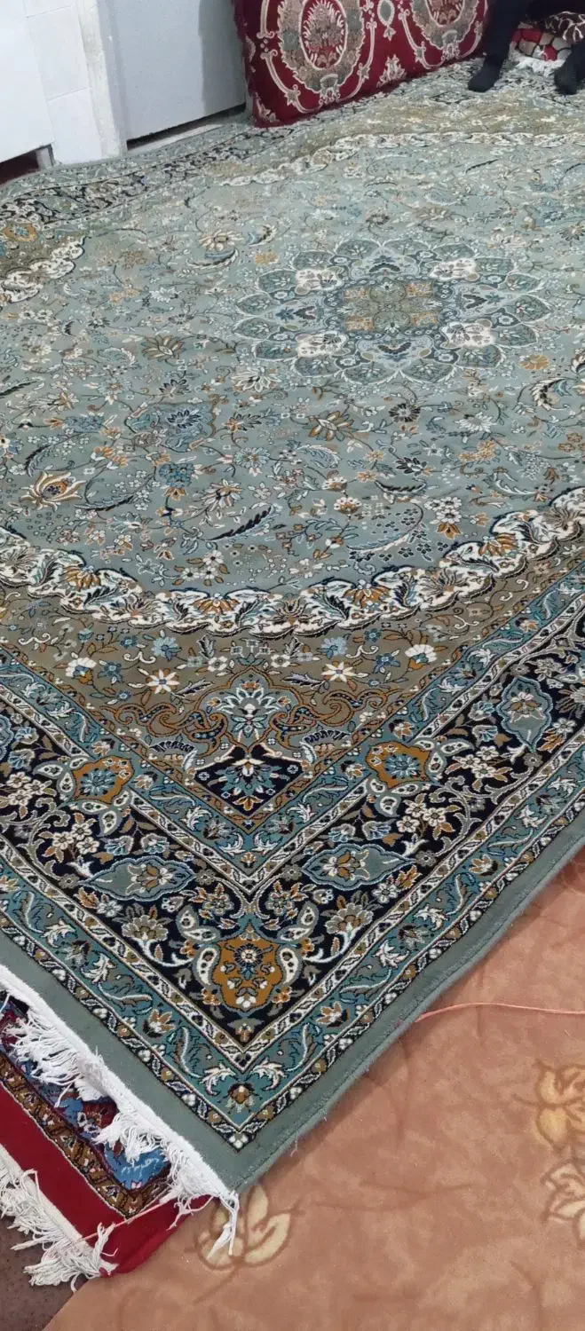 فرش ۱۲متری سالم درحدنو|فرش|بهارستان, |دیوار