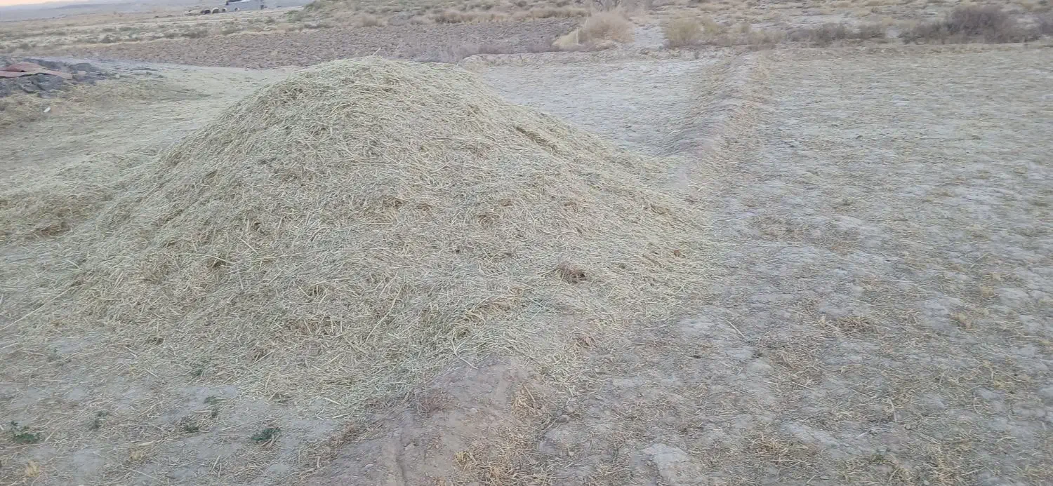 خرمن کاه|حیوانات مزرعه|مهریز, |دیوار