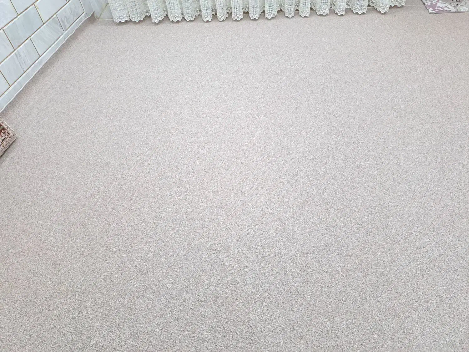 موکت درحدنو|موکت|بدره, |دیوار